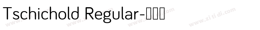 Tschichold Regular字体转换